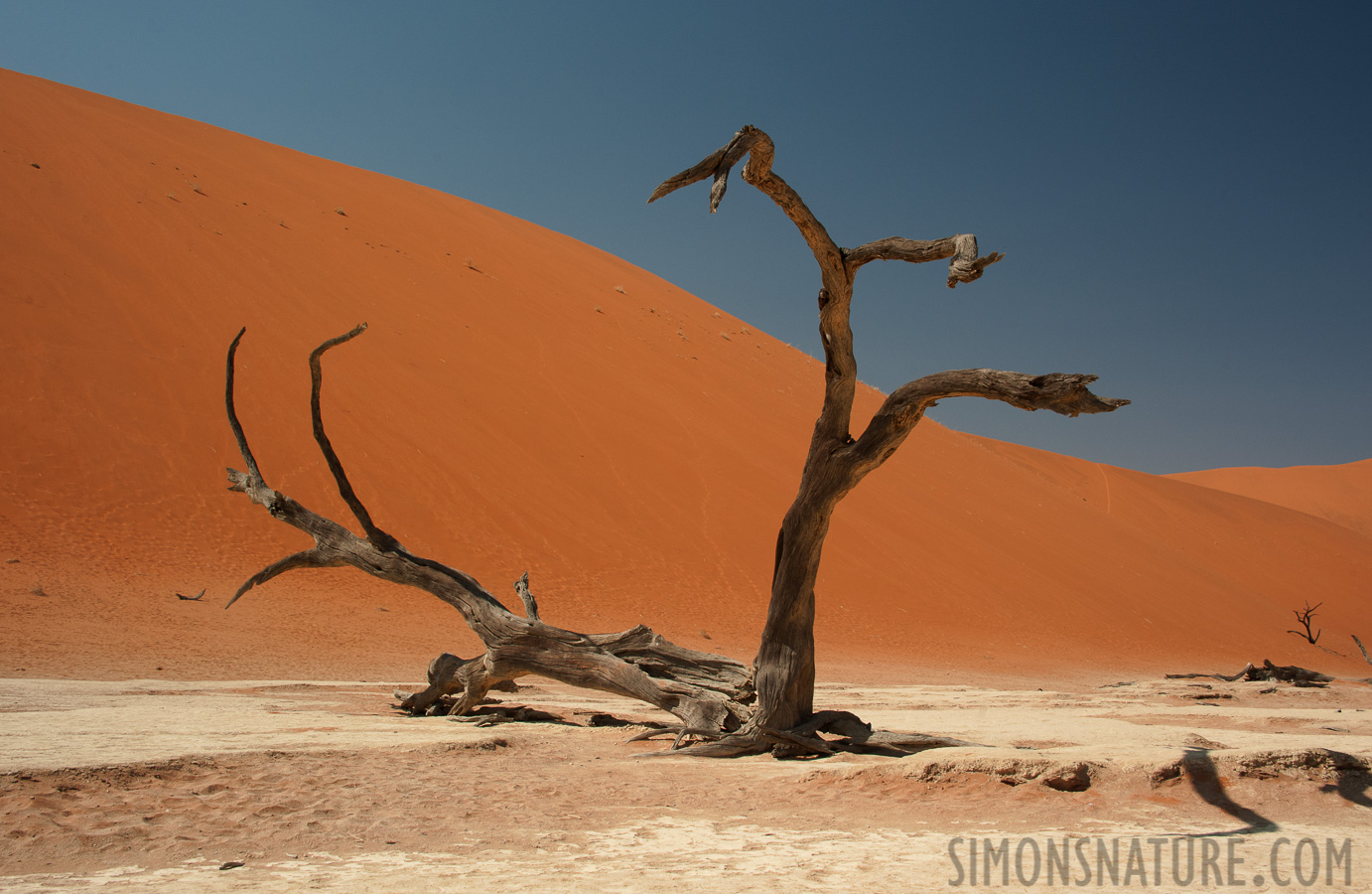 Namib-Naukluft National Park [32 mm, 1/200 sec at f / 13, ISO 400]